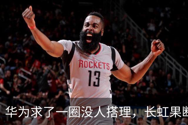 华为求了一圈没人搭理，长虹果断接盘