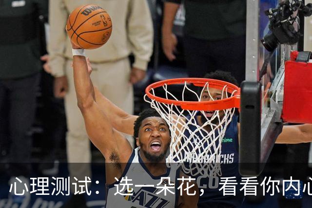 心理测试：选一朵花，看看你内心最放不下的事
