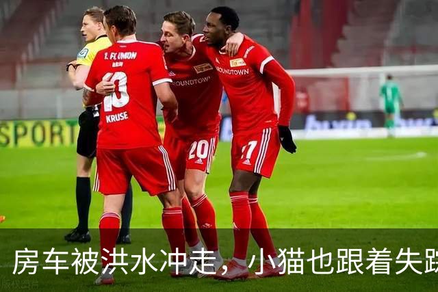 房车被洪水冲走，小猫也跟着失踪，8天后它突然回家了，全家人都哭了